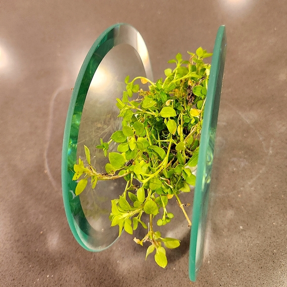 Beautiful Beveled Double Glass Tealight/Plant Holder - Picture 5 of 7